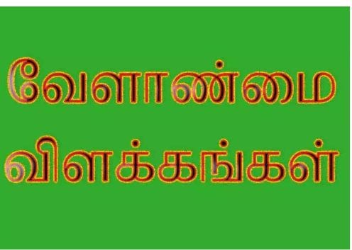 நிலக்கடலை பயிரில் பூச்சி தாக்குதலை கட்டுப்படுத்துவது எப்படி…? வேளாண் அதிகாரி விளக்கம்…!!!!!