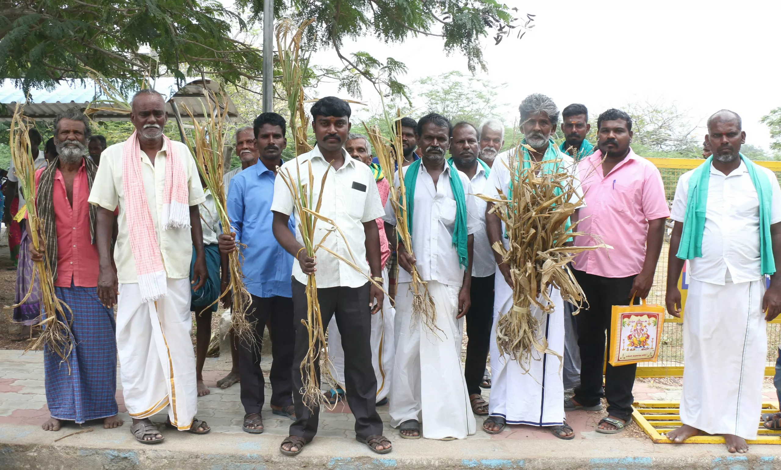 “எட்டயபுரம் அருகே பொய்த்துப்போன பருவமழை”… கருகிப்போன 950 எக்டேர் பயிர்கள்..!!!