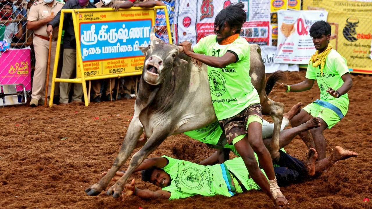 ஜல்லிக்கட்டில் உயிரிழந்தவர்களின் குடும்பங்களுக்கு இழப்பீடு…. முதல்வர் ஸ்டாலின் அறிவிப்பு….!!!!