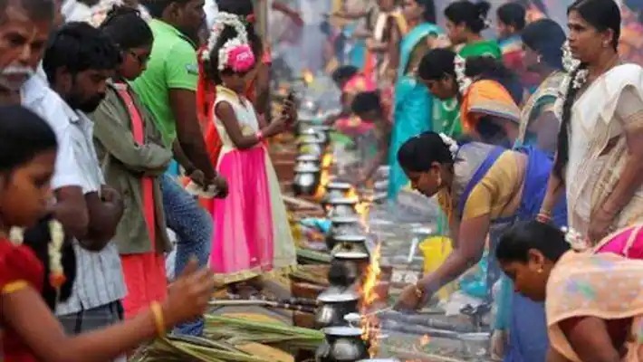 தமிழர்களின் மிக முக்கிய விழாவான…. பொங்கல் பண்டிகை என்பது என்ன..? எத்தனை வகைகளாக கொண்டாடப்படுகிறது…? வாங்க பார்க்கலாம்…!!!