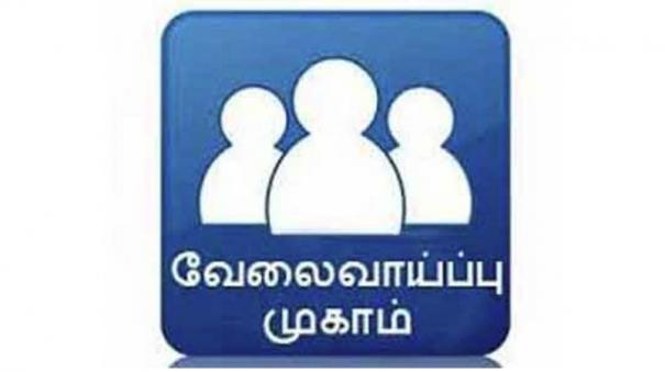 திருவண்ணாமலையில் நடந்த வேலைவாய்ப்பு முகாம்… 250 பேருக்கு வேலை கிடைச்சுருச்சு..!!!