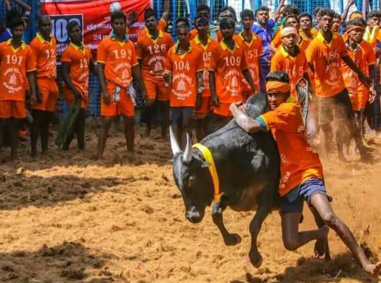 திருச்சி சூரியூர் ஜல்லிக்கட்டு நிறைவு…. வெற்றி பெற்றவர்களுக்கு பரிசு…..!!!!!