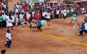 மோகனூர் பகுதியில் மாடு பூ தாண்டும் நிகழ்ச்சி… கலந்து கொண்ட பொதுமக்கள்…!!!!