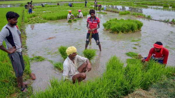 விவசாயிகளுக்கு ரூ8,000….. பட்ஜெட்டில் அறிவிக்க வாய்ப்பு…? வெளியான சூப்பர் நியூஸ்…!!!