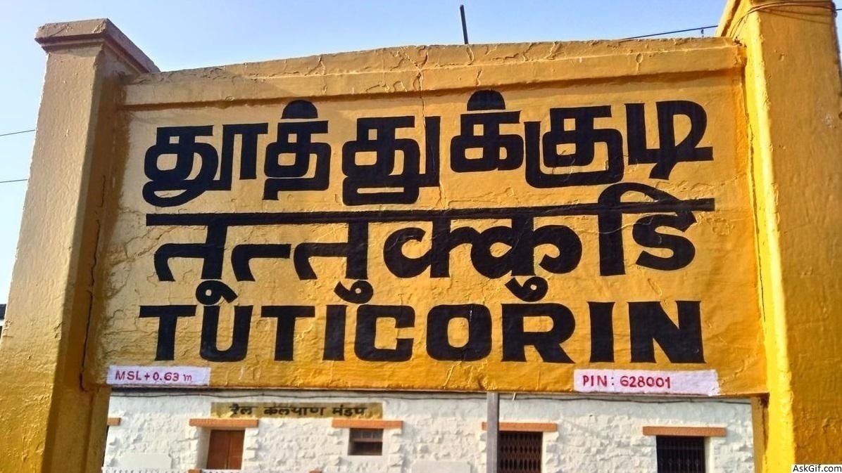 Thuthukudi: குற்ற சம்பவங்களை தடுக்க… போலீஸ் சூப்பிரண்டு தலைமையில் ஆலோசனை..!!!