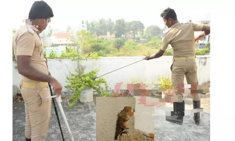 பாம்பு இருப்பதாக கூறிய அரசு ஊழியர்…. தீயணைப்பு வீரர்களுக்கு காத்திருந்த அதிர்ச்சி…. அப்படி என்ன இருந்துச்சு…?