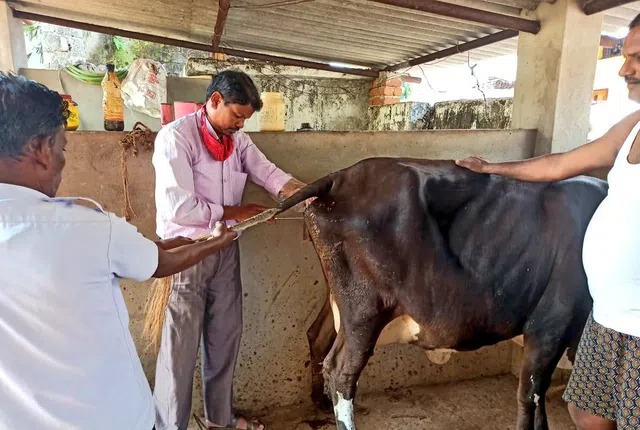 கால்நடை படிப்பு முடித்தவரா நீங்கள்…? மாதம் ரூ.30,000 சம்பளத்தில் வேலை…. முழு விவரம் இதோ…!!!