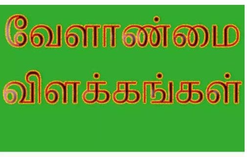 உளுந்து பயிரில் டி.ஏ.பி கரைசல் தெளிப்பது எப்படி…?? வேளாண்மை இயக்குனர் விளக்கம்…!!!!