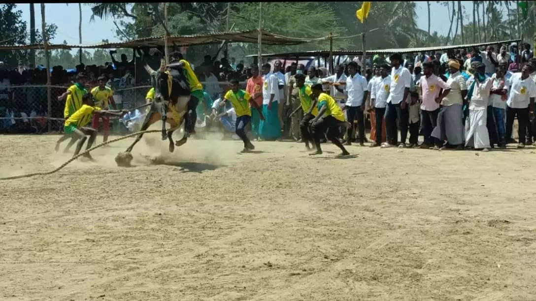 சிறப்பாக நடந்த ஜல்லிக்கட்டு…. 9 மாடுபிடி வீரர்கள் காயம்…. வெற்றி பெற்றவர்களுக்கு பரிசு…!!