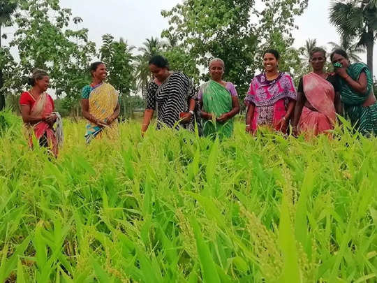 இந்திய தொழில்துறையில் பெண்களின் ஆதிக்கம்… மத்திய அரசு வெளியிட்ட முக்கிய தகவல்…!!!