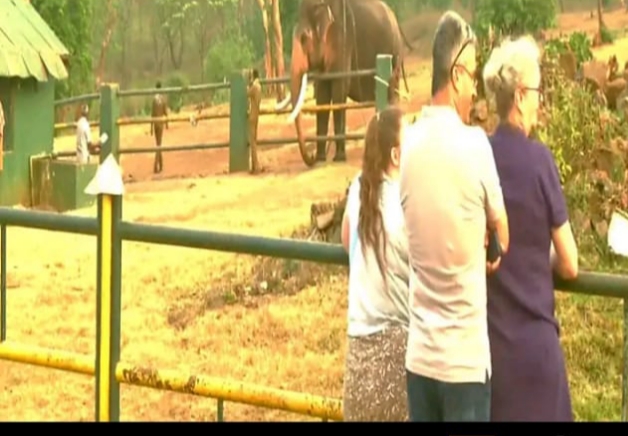 “ஆஸ்கார் விருது எதிரொலி”…. முதுமலை தெப்பக்காடு பகுதிகளுக்கு சுற்றுலா பயணிகளின் வருகை அதிகரிப்பு…!!!