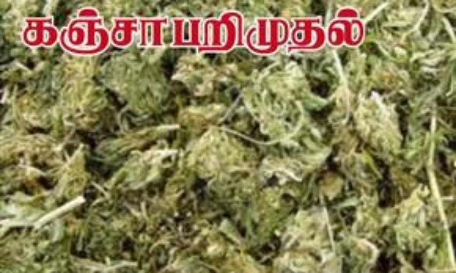 தஞ்சாவூரில் ரூ. 1 கோடி மதிப்புள்ள 285 கிலோ கஞ்சா பறிமுதல்…!!!