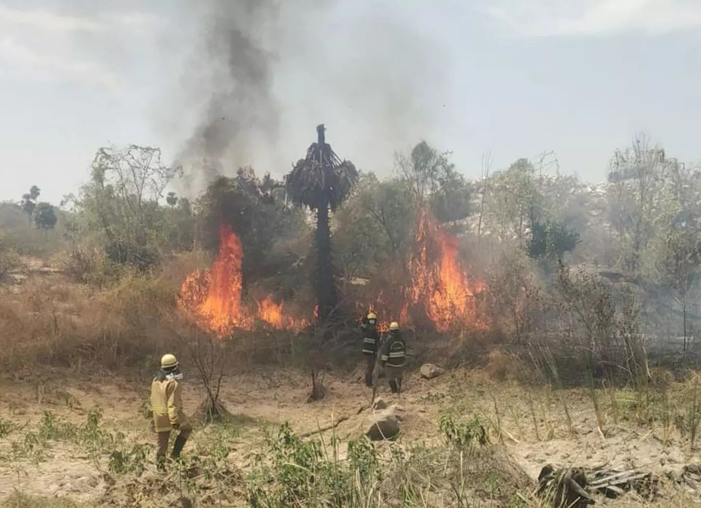 வனப்பகுதியில் திடீர் தீ விபத்து…. 2 மணி நேரம் போராட்டம்… பீதியில் பொதுமக்கள்….!!