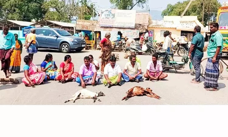 ஆடுகளை கொன்ற தெருநாய்கள்…. கிராம மக்களின் போராட்டம்…. போலீஸ் பேச்சுவார்த்தை….!!