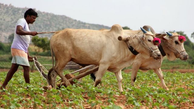 தமிழகத்தில் விவசாயிகளுக்கு… வேளாண் வணிகத்துறை வெளியிட்ட முக்கிய அறிவிப்பு….!!!