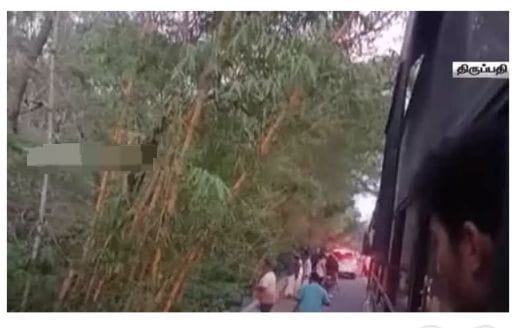 ஏழுமலையான் பக்தர்களே கவனம்… காட்டு யானைகள் நடமாட்டம்… வனத்துறை எச்சரிக்கை..!!!!