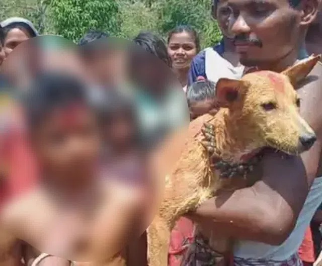 வினோதமான சம்பவம்…. நாய்களுடன் சிறுவன், சிறுமிகளுக்கு திருமணம்…. என்ன காரணம் தெரியுமா….????