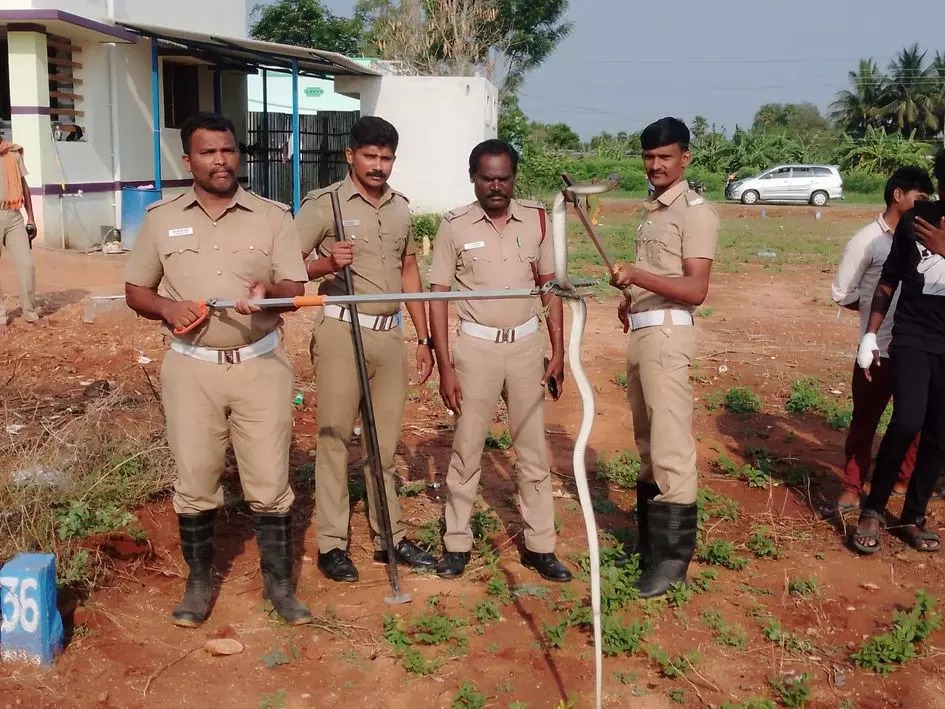 வீட்டிற்குள் நுழைந்த பாம்பு…. அலறியடித்து ஓடிய குடும்பத்தினர்…. தீயணைப்பு வீரர்களின் செயல்…!!