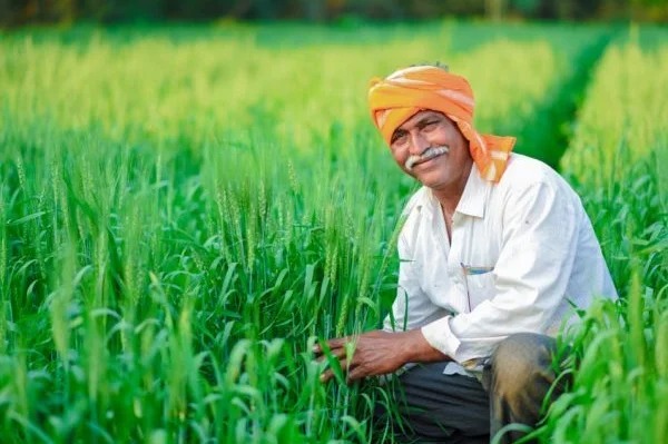 “பிஎம் கிசான் திட்டம்”…. விவசாயிகளுக்கு வெளியான மிக முக்கிய தகவல்…..!!!!!