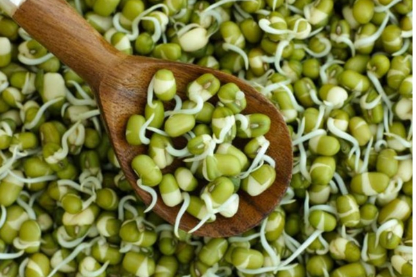 வயிற்றின் சுத்தத்திற்கு தேவையான பாக்டீரியாக்களை உருவாக்கும் அற்புத உணவு.. சின்ன பயிரின் கோடி நன்மைகள்..!!!