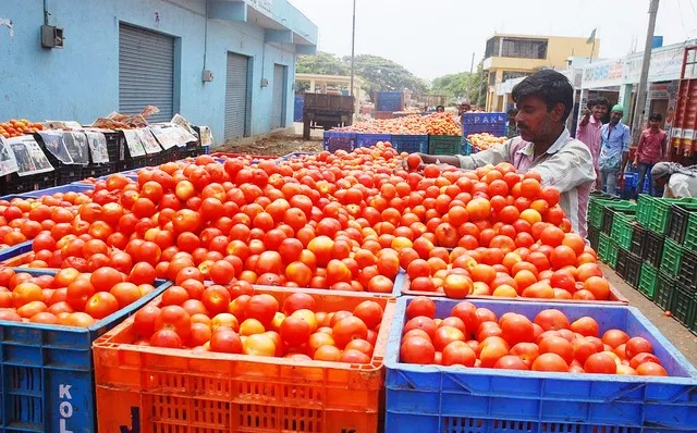 அங்காடிகளில் அதிரடியாக குறைந்த தக்காளி விலை…. தமிழக அரசு நடவடிக்கை..!!!