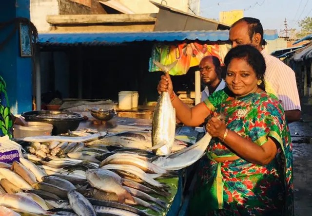 மீனை சைவ உணவு பட்டியலில் சேர்க்க வேண்டும்…. தமிழிசை சவுந்தரராஜன் கோரிக்கை…!!!