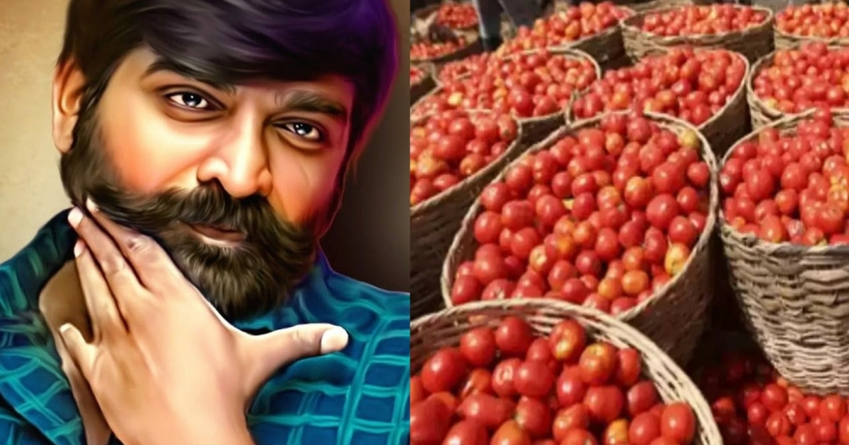 தக்காளியை இலவசமாக…. அள்ளிக்கொடுத்த விஜய் சேதுபதி ரசிகர்கள்… மகிழ்ச்சியில் பொதுமக்கள்…!!