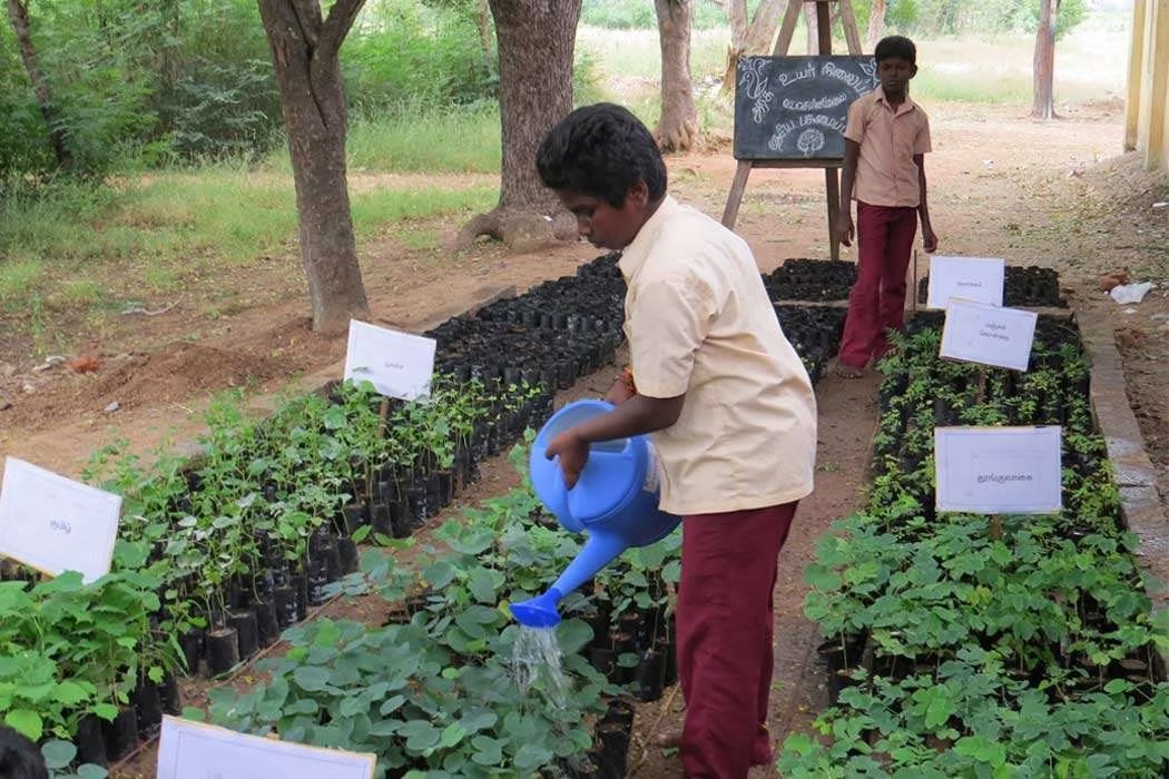 தமிழகத்தில் 50 அரசு பள்ளிகள் பசுமை பள்ளிகளாக மாறும்… அரசு சூப்பர் அறிவிப்பு..!!!!