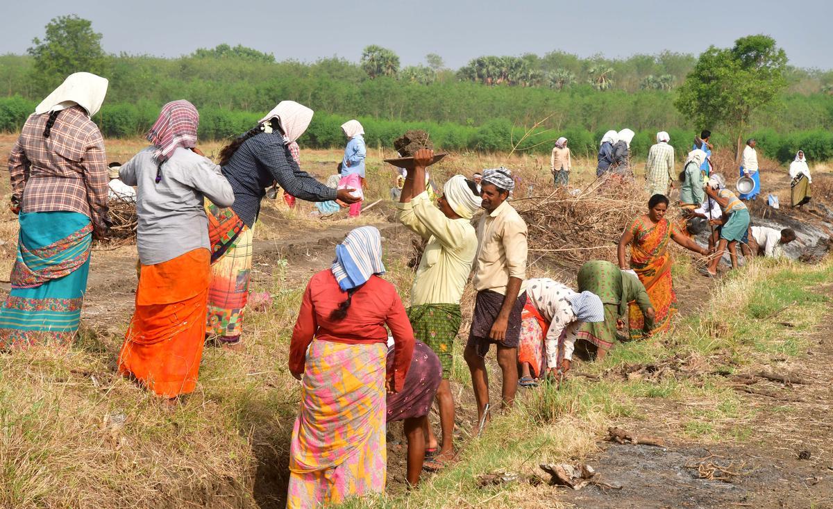 இன்றே கடைசி நாள்… இதை செய்யாவிட்டால் சம்பளம் கிடைக்காது…. 100 நாளை வேலை செய்வோருக்கு முக்கிய அறிவிப்பு…!!