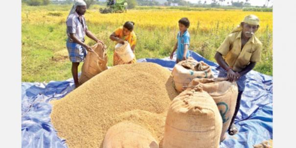 தமிழகத்தில் டிஜிட்டல் முறையில் நெல் கொள்முதல்…. அரசுக்கு வலுக்கும் கோரிக்கை…!!!