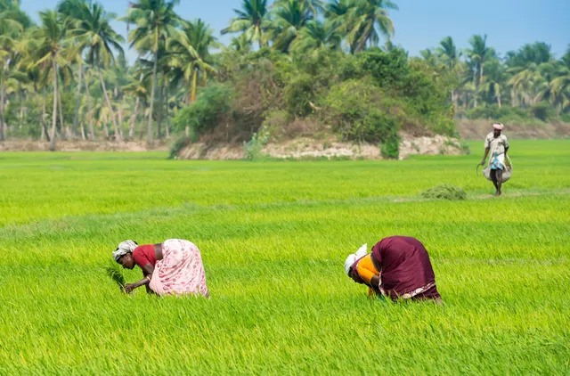 விவசாயிகளே…! ரூ.2000 பணம் கிடைக்க நாளைக்குள் இதை முடிக்கணும்…. மறந்துவிடாதீங்க…!!