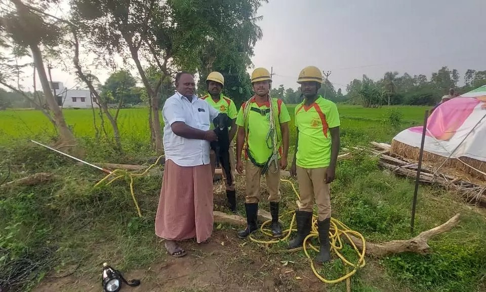 கிணற்றில் தவறி விழுந்த ஆட்டுக்குட்டிகள்…. பத்திரமாக மீட்ட தீயணைப்பு வீரர்கள்…. பாராட்டிய பொதுமக்கள்…!!