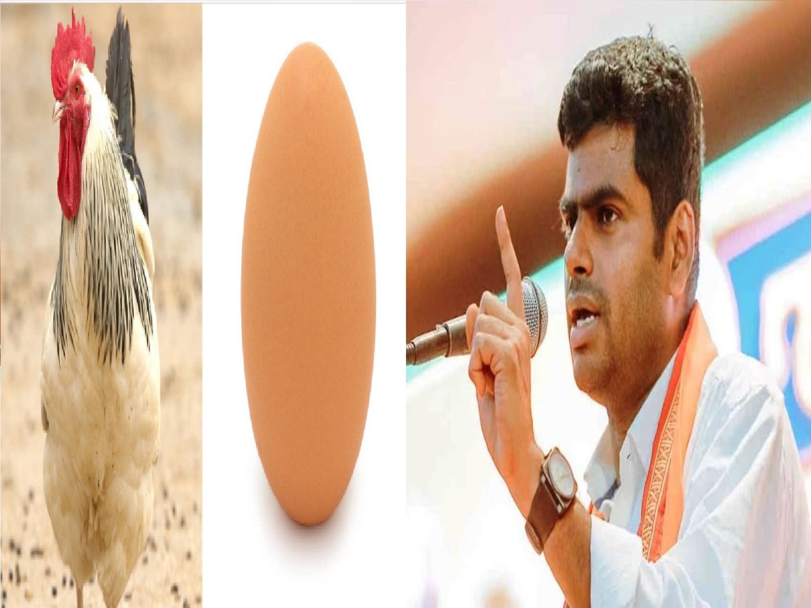 1st கோழி வந்துச்சா ? இல்ல முட்டை வந்துச்சா ? அண்ணாமலை நறுக் பேச்சு..!!