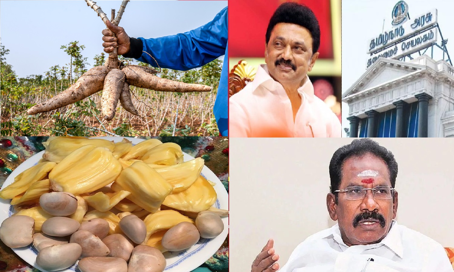 DMK ஆட்சியில் அரிசியே இல்லை… கப்பக்கிழங்கு தான் சாப்பிடணும்…. பலாக்கொட்டையை  அவிச்சு தின்னாங்க… DMKவை டேமேஜ் செஞ்ச செல்லூர் ராஜீ..!!