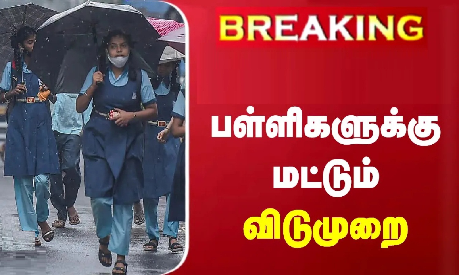 #BREAKING: நெல்லையில் பள்ளிகளுக்கு மட்டும் விடுமுறை…!!