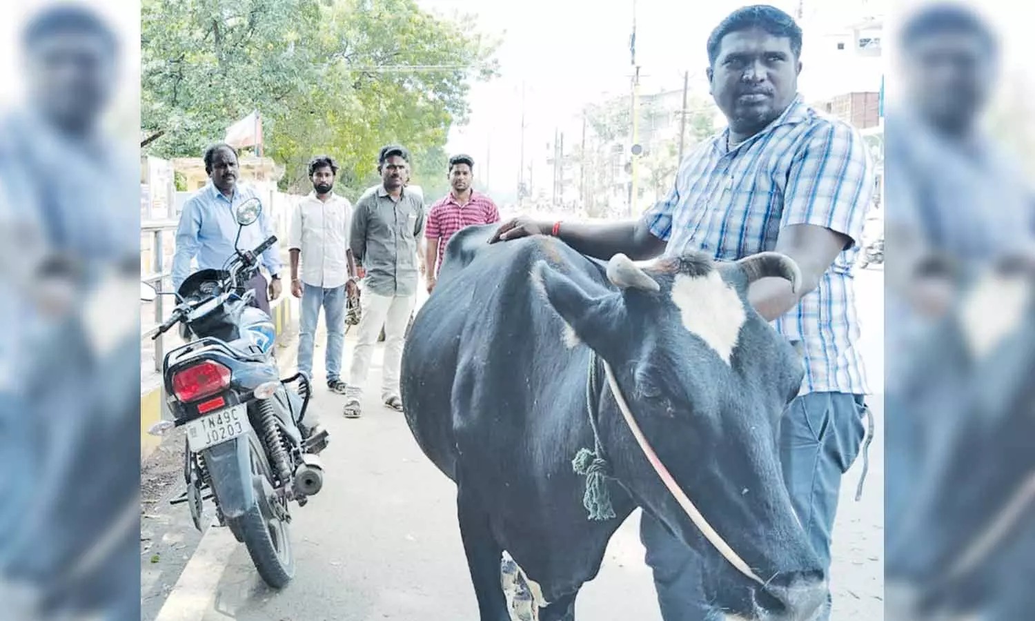 போக்குவரத்திற்கு இடையூறாக சுற்றித்திரிந்த மாடுகள்…. உரிமையாளர்களுக்கு அபராதம் விதித்த அதிகாரிகள்…!!