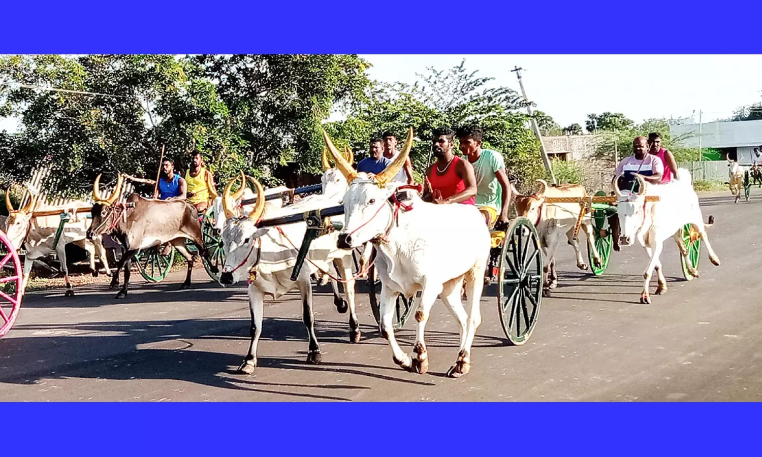 பந்தயத்தில் சீறி பாய்ந்த காளைகள்…. கண்டு ரசித்த பொதுமக்கள்…!!