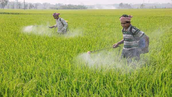 தமிழகத்தில் நாளை கடைசி நாள்…. விவசாயிகளுக்கு வெளியான முக்கிய அறிவிப்பு….!!!