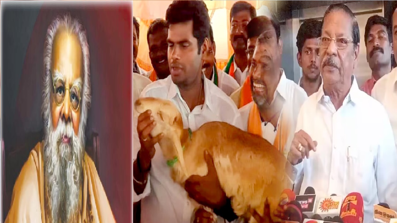 பெரியார் இல்லைன்னா…! ஆடு தான் மேச்சி இருக்கணும்… IPS ஆகி இருக்க முடியாது…  BJPயை வம்பிழுக்கும் ஆர்.எஸ் பாரதி…!!