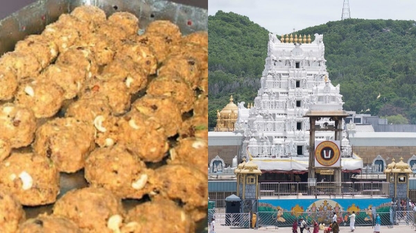 வைஷ்ணவ பிராமணர்கள் விண்ணப்பிக்கலாம்… திருப்பதி தேவஸ்தானம் அறிவிப்பு….!!!