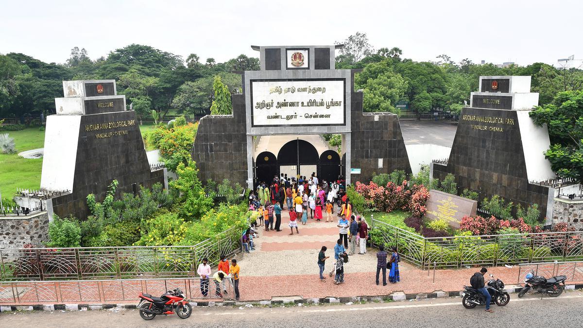 வண்டலூர் பூங்கா இன்று முதல் மீண்டும் திறப்பு… வெளியான அறிவிப்பு…!!!