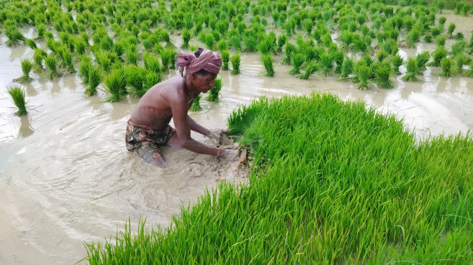 விவசாயிகளுக்கு உதவும் மத்திய அரசின் “உடான் திட்டம்”…. அதிகரிக்கும் விமான நிலையங்கள்…. இதன் பயன்கள் என்னென்ன…??