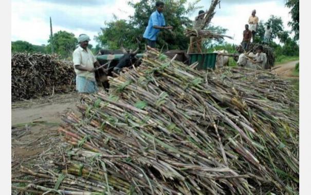 விவசாயிகளுக்கு செம ஹாப்பி நியூஸ்…. கரும்பு கொள்முதல் விலையை உயர்த்திய முதல்வர்…!!!