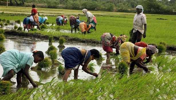 விவசாயிகளுக்கு செம ஹேப்பி நியூஸ்… மத்திய அரசு விரைவில் வெளியிட போகும் சூப்பர் அறிவிப்பு..!!