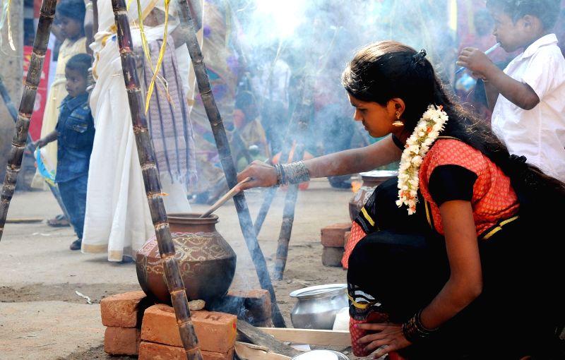 பொங்கல் பண்டிகை திருநாள்… பொங்கல் வைத்து வழிபட நல்ல நேரம் இதுதான்…!!