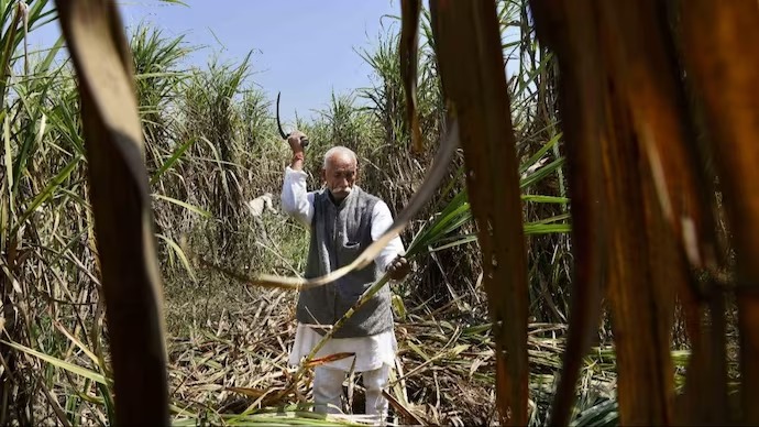 #BREAKING : கரும்பு கொள்முதல் விலை குவிண்டாலுக்கு ரூ.340 ஆக உயர்வு… விவசாயிகள் மகிழ்ச்சி..!!