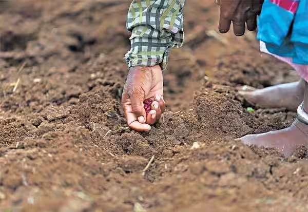 TNAgricultureBudjet 2024: மண்வளத்தை காக்க புதிய திட்டம் அறிமுகம்….!!