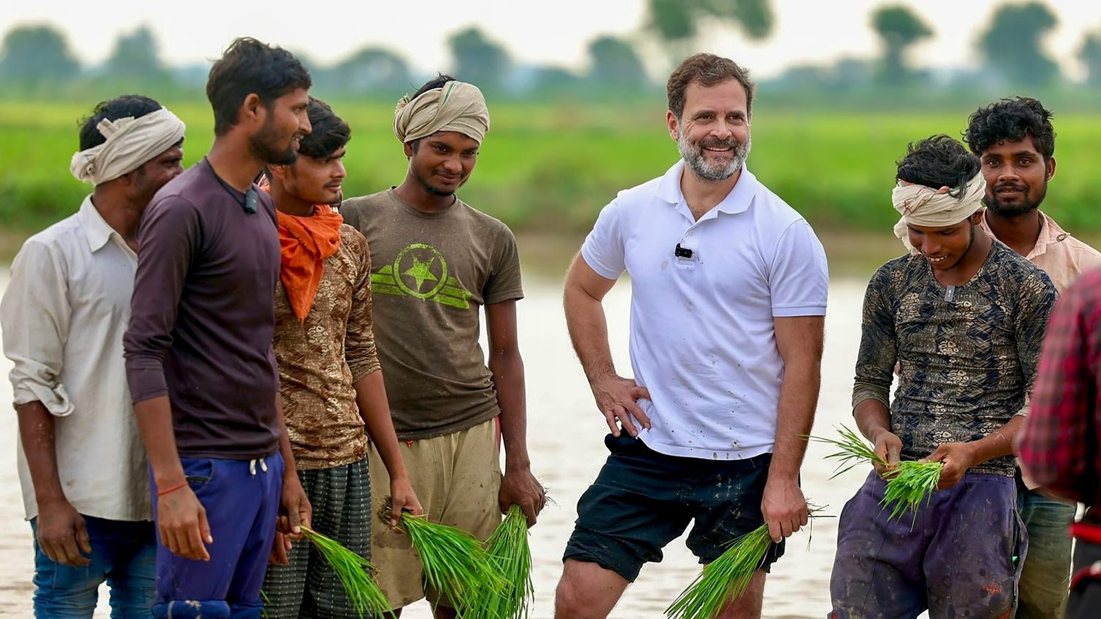 Rahul Gandhi: விவசாயப்பொருட்களுக்கு ஜிஎஸ்டி கிடையாது…. காங்கிரஸ் 5 அதிரடி வாக்குறுதிகள்…. ராகுல் காந்தி ட்விட்!!