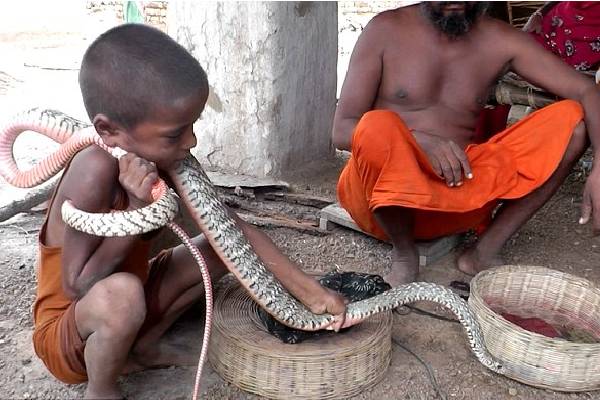 இப்படியும் மனிதர்களா…? வீட்டில் பாம்புக்கும் ஒரு இடம்…. யாரும் அறியாத வினோத கிராமம்…!!