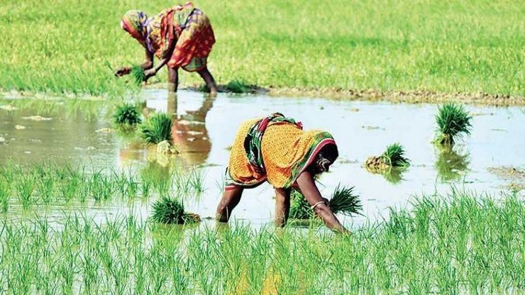 இனி விவசாயிகளுக்கு 100% இலவசம்… மாநில அரசு வெளியிட்ட சூப்பர் அறிவிப்பு…!!!